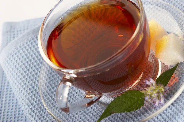 Örtartade te - naturliga läkemedel — Stockfoto