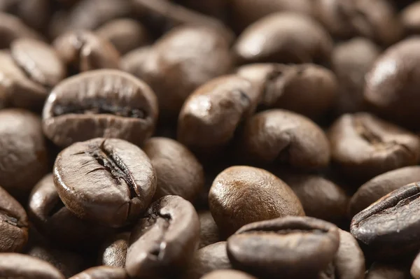 Coffee grain — Stock Photo, Image