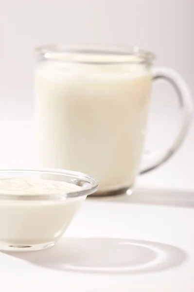 Mjölk produkter — Stockfoto