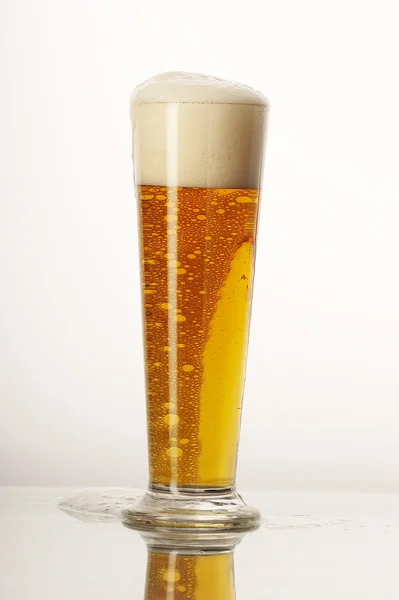 Piwo — Zdjęcie stockowe