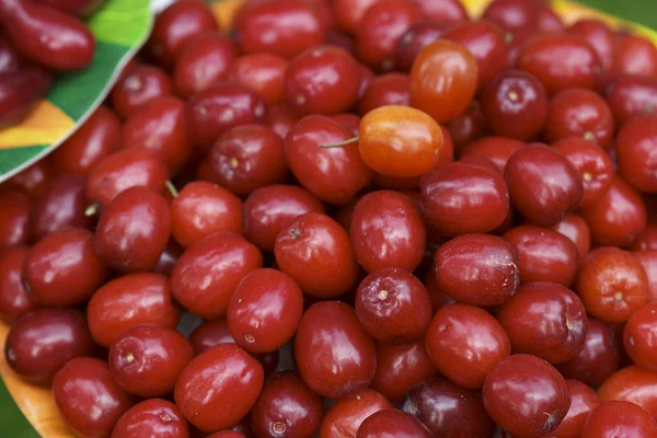 Cornelian cherries — Stock Photo, Image