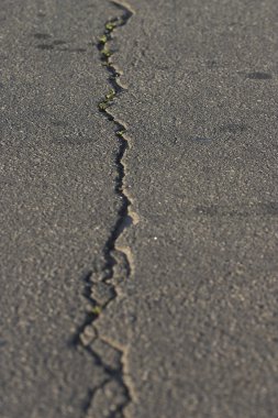 Asphalt with crack clipart