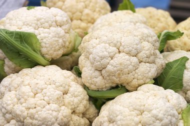 Cauliflower clipart