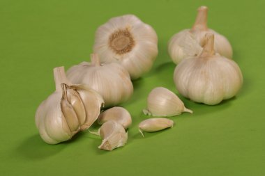 Garlic over green clipart