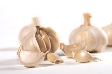 Garlic over white clipart