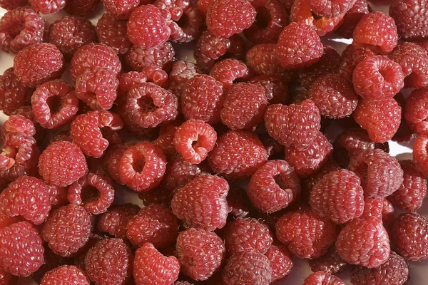 Raspberries pattern — Stock Photo, Image