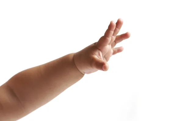 Csecsemő keze — Stock Fotó