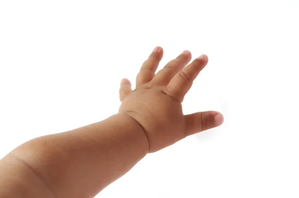 Hand av baby — Stockfoto