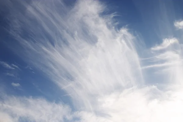 Beauty fleecy cloud — Stock Photo, Image