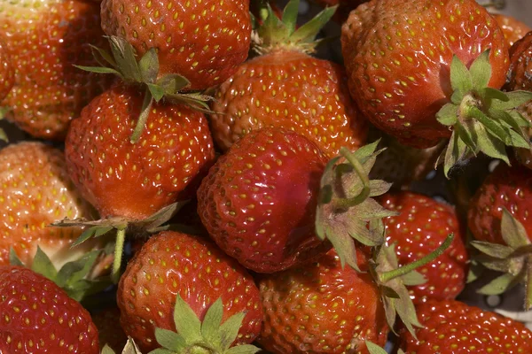 Strawberry's background — Stock Photo, Image
