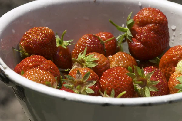 新鲜草莓 — 图库照片