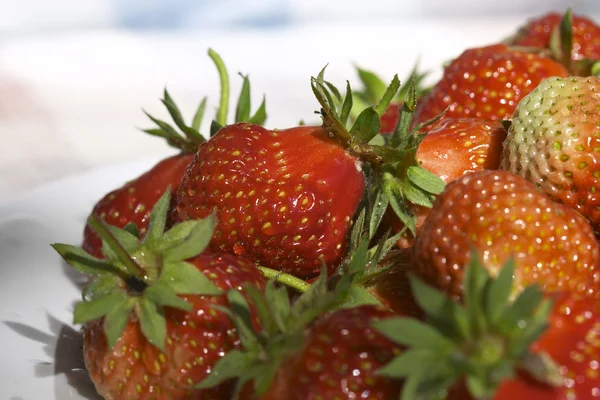 Starawberryes — стоковое фото
