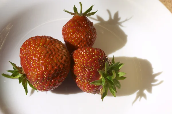 三个孤立的草莓 — 图库照片