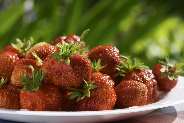 Ώριμα φράουλα σε ένα πιάτο — Φωτογραφία Αρχείου