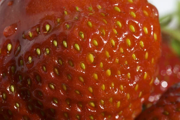 Makrotrieb der Erdbeere — Stockfoto