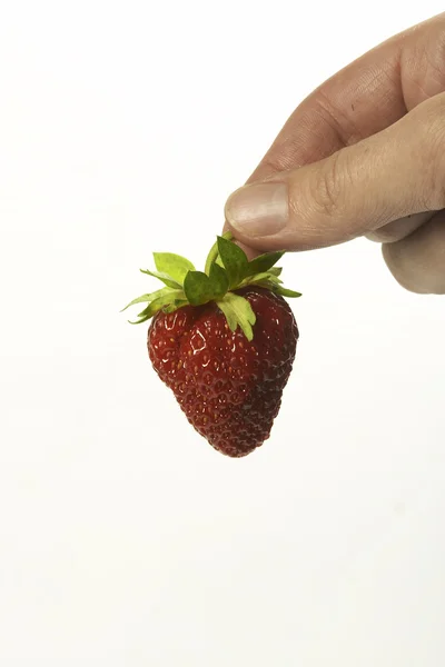 手里拿着草莓 — 图库照片