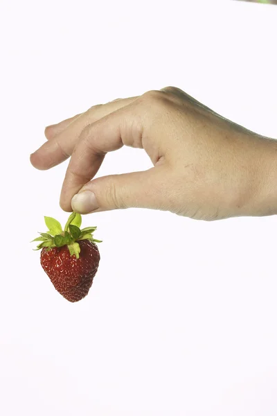 Strawberry in a hand — Stock Photo, Image