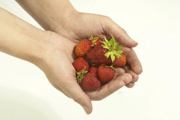 Strawberry in the palm — Stock Photo, Image
