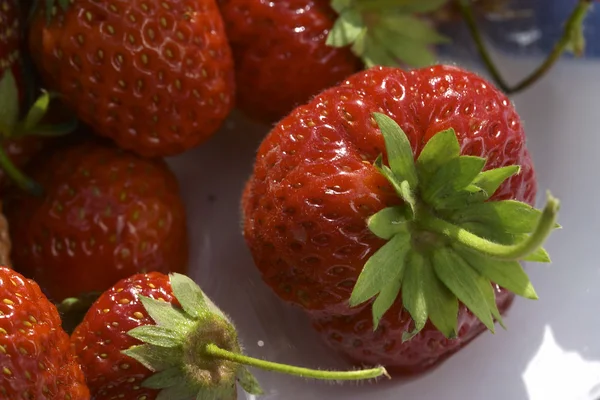Φράουλα σε πιάτο — Φωτογραφία Αρχείου