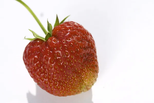 一个孤立的草莓白上 — 图库照片