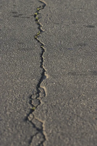 Çatlamak ile asfalt — Stok fotoğraf