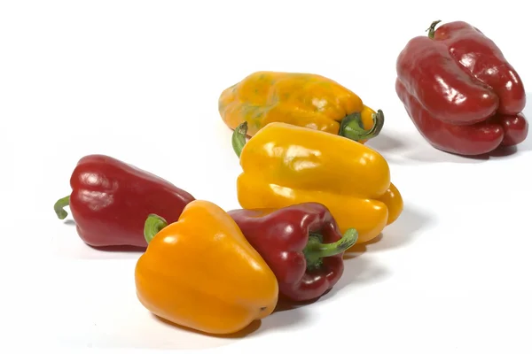 Gelber und roter Paprika — Stockfoto