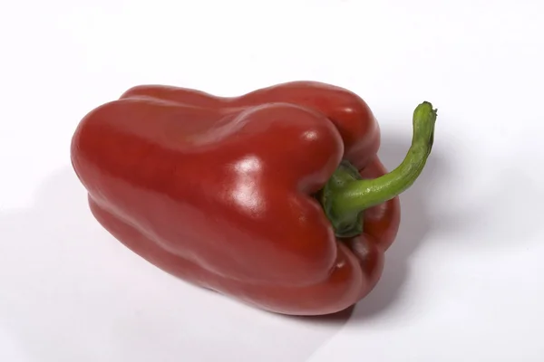 Απομονωμένες κόκκινο πιπέρι — Φωτογραφία Αρχείου