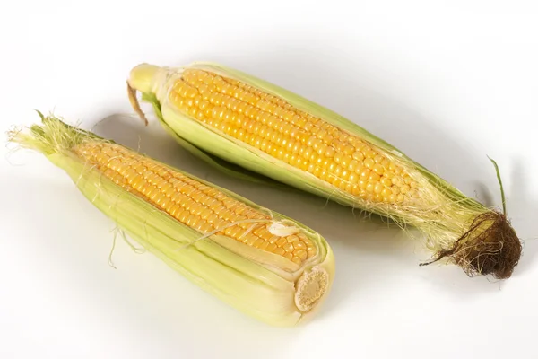 흰색 위에 maiz — 스톡 사진