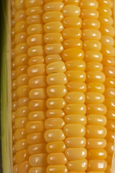 Kukurydziana — Zdjęcie stockowe