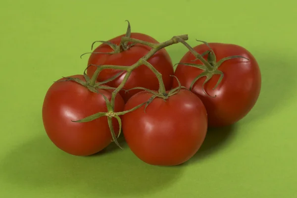 Tomate über Grün — Stockfoto