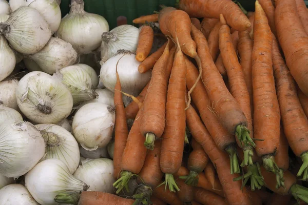 Лук і морква — стокове фото