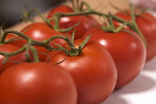 Tomat Stockbild