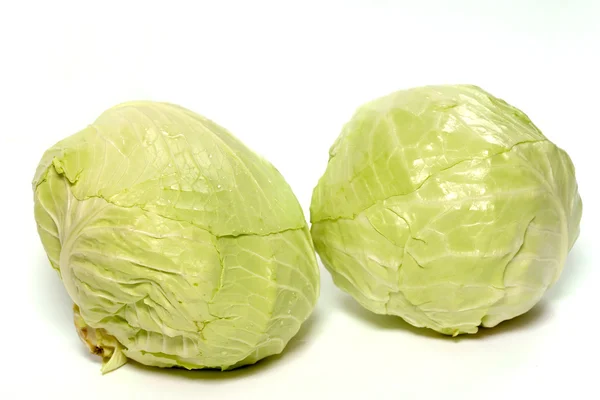 White cabbage Royalty Free Stock Photos
