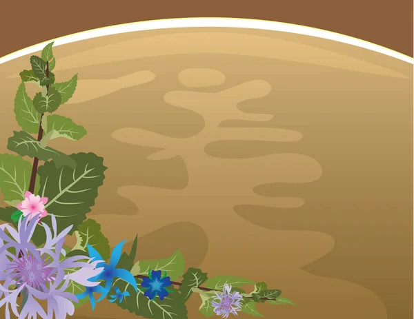 Thé à base de plantes — Image vectorielle