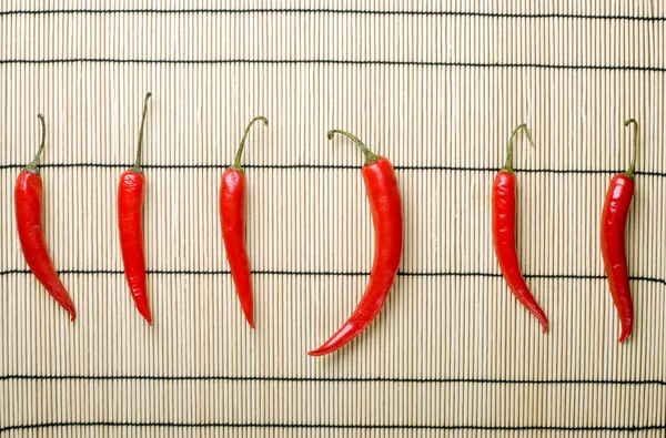 stock image Five chili peppers lay at right directio