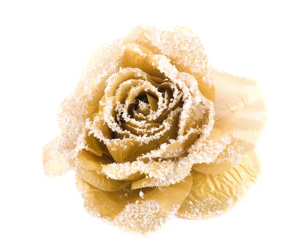 Golden artificial flower with snow on pe — Stock Photo, Image