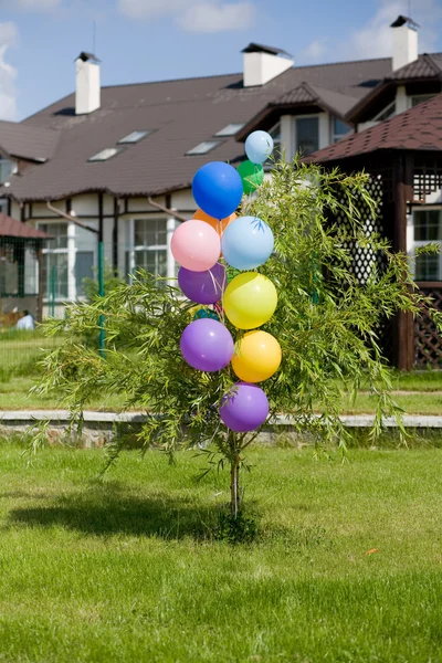 Colorful helium baloons at bush opposite — Stock Photo, Image