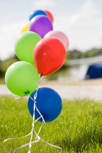 Balões de hélio coloridos na grama opor — Fotografia de Stock