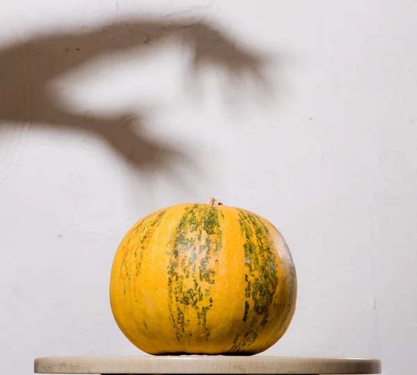 stock image Yellow pumpkin no table with hands shado