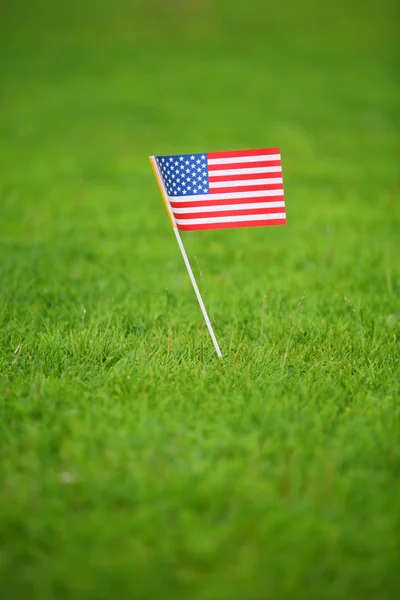 Amerikai zászló a fű — Stock Fotó