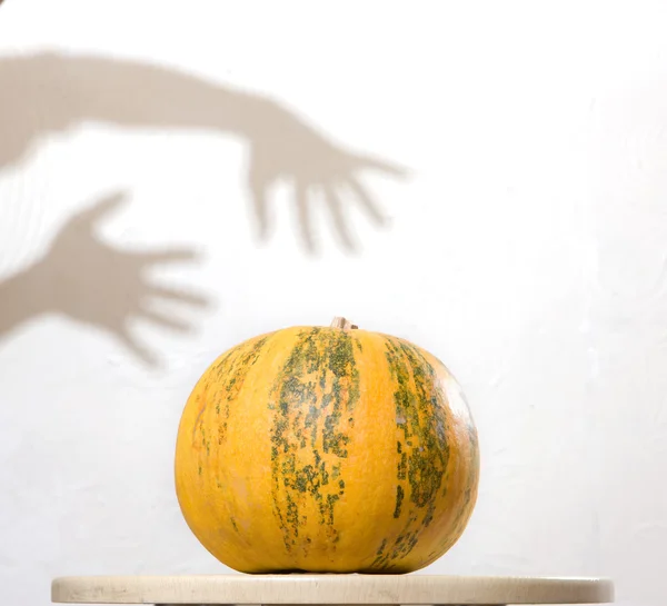 stock image Yellow pumpkin no table with hands shado