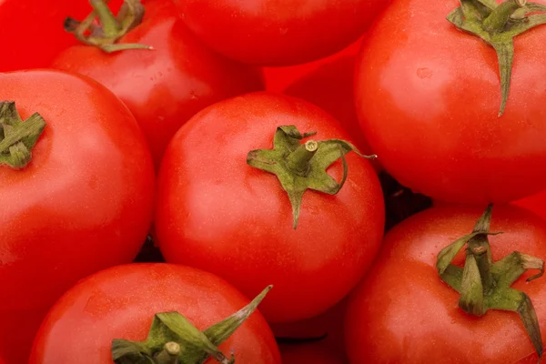 stock image Red tomatos