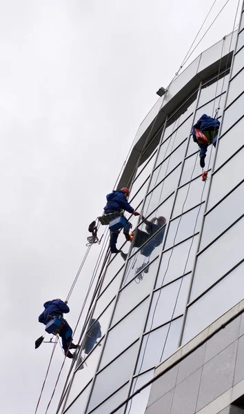 stock image Group of workers washing windows in the