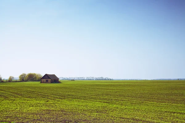 Huis in veld — Stockfoto