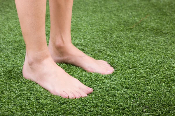 Красиві тонкі жіночі ноги на траві — стокове фото