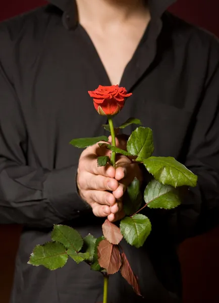Młody człowiek z różą w czarną koszulę z bliska — Zdjęcie stockowe