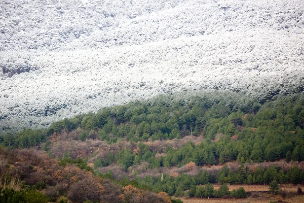积雪覆盖的山小山 — 图库照片