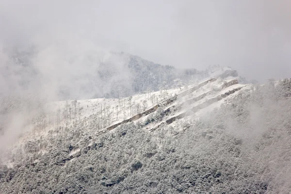 Rotsachtige berg met sneeuw in de wolken — Stockfoto