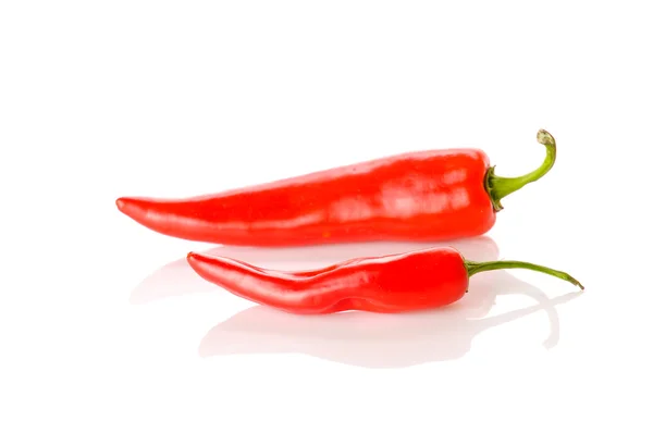 Stock image Red chilli