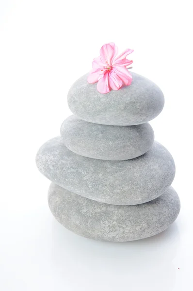 Szare kamienie do masażu — Zdjęcie stockowe